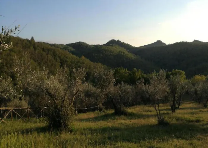 Tranquil Chianti Escape For 4 Villa Cavriglia