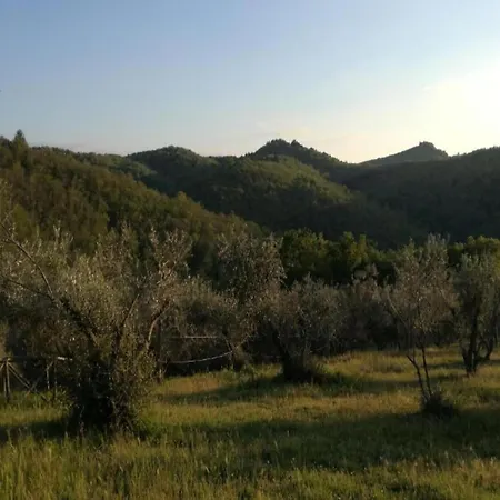 Tranquil Chianti Escape For 4 Villa Cavriglia